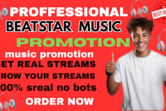 do organic beatstar music promotion and increase engagements