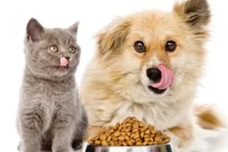formulate homemade pet food for dogs and cats