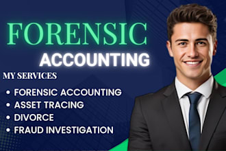 perform forensic accounting for divorce, legal dispute, court cases, fraud audit