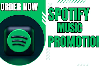 pitch your spotify to top playlists and run targeted ads