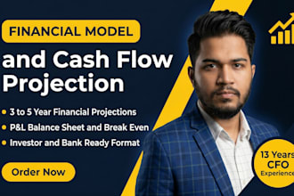 build an investor ready financial model with cash flow profit loss projection
