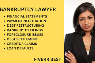 handle bankruptcy cases, debt settlement, loan defaults, and creditor disputes
