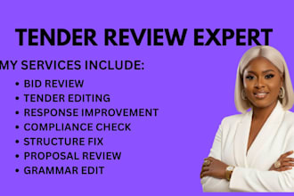 review and improve your UK tender bid proposal