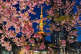 proofread and polish your japanese text naturally