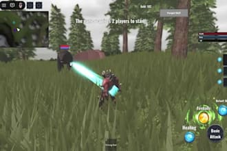 be your roblox developer for your entire roblox game