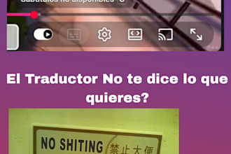 translate and help you with advise and more