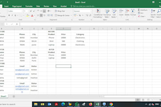 provide accurate and fast data entry services with proper filtering and cleaning