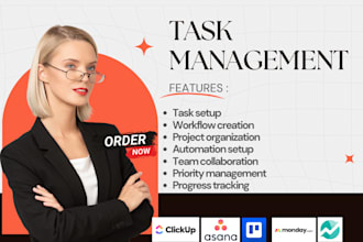setup task management trello asana clickup monday notion jira airtable nifty
