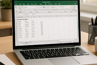 do fast and accurate data entry, excel and copy paste work