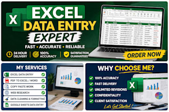 do accurate excel data entry, copy paste, and typing work