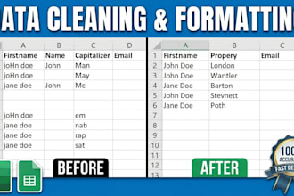 do professional data cleaning, deduplication, and data formatting