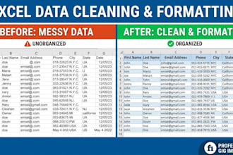 clean organize and format your excel spreadsheet