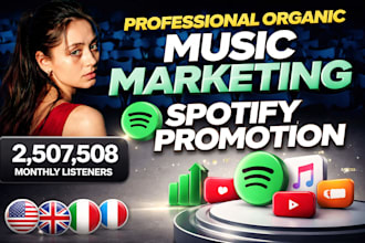 professional organic music marketing spotify music promotion, spotify promotion
