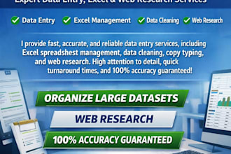 do fast and accurate data entry, excel, web research, and copy paste