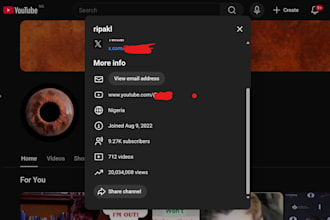 audit your youtube channel and show you how to grow and monetize fast