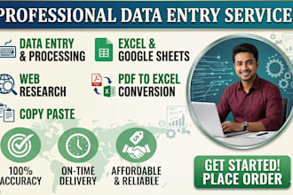 do expert data entry and web research