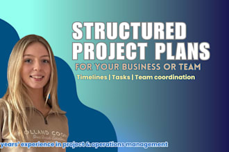 create a structured and practical project plan for your business