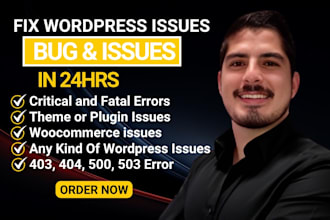 fix wordpress issues, fix wordpress errors, bugs, fix wordpress website