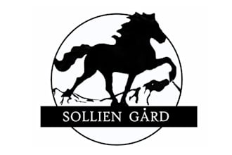 design professional horse and care race logo