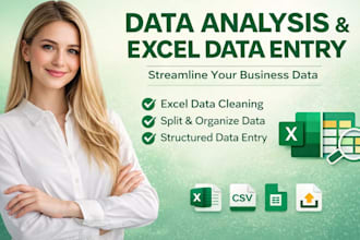 data analysis, excel cleaning, split data and structure data  entry for business