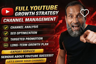 audit your youtube channel and make a growth strategy