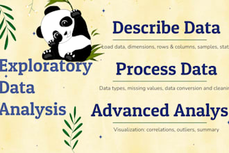 do data analysis, eda, and build an automated reporting pipeline