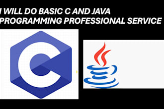 do basic c and java programming assignments