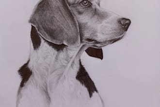 do a hand drawn potrait of your dog, cat or any pet