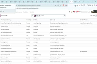 do professional odoo implementation and german localization