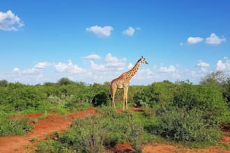 plan your kenya perfect safaris