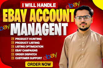 do professional ebay store management and dropshipping VA