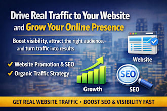 do website promotion SEO optimization and organic traffic growth