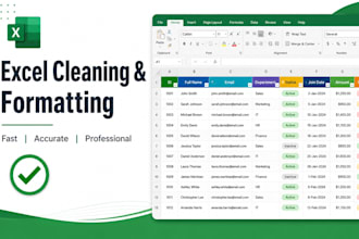 clean, format and organize your excel spreadsheet  professionally