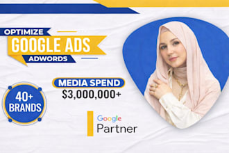 do google ads optimization professionally