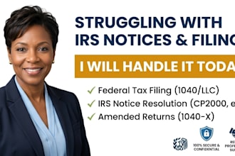 handle your US tax filing, irs notices, and amended returns