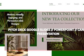 investor pitch deck presentation powerpoint presentation slides google slides