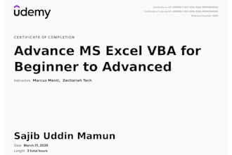 develop full excel based accounting application