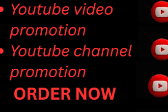 do organic youtube video promotion with real viewers