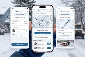 professional on demand driveway and walkway snow clearing