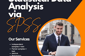 do spss statistical analysis that is detailed and immaculate