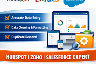 do CRM data entry and cleanup in hubspot zoho salesforce