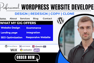 build wordpress hostinger website redesign wordpress business website design
