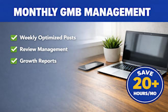 do monthly google business profile management and gmb posts