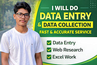 do fast and accurate typing, pdf to word, data entry