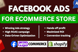 setup and manage facebook ads for ecommerce website or shopify store