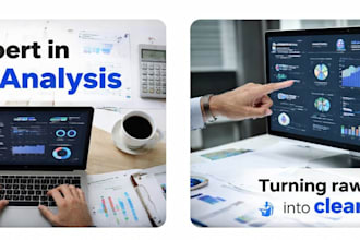 do data cleaning, data analysis and data visualization