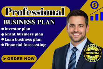 write professional business plan for startups funding and bank loan approval