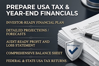 prepare your profit and loss, balance sheet, and USA tax returns