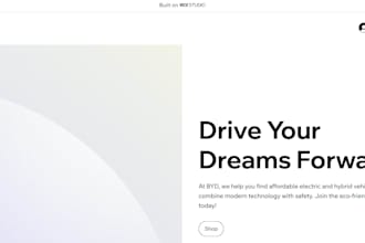 do websites by myself