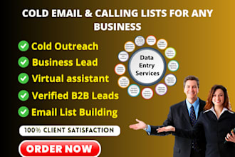 deliver targeted, verified leads for cold outreach campaigns